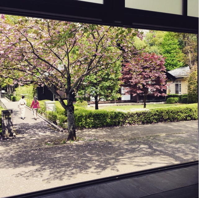 f:id:oshinko_mori:20150423201215j:plain f:id:oshinko_mori:20150423201215j:plain