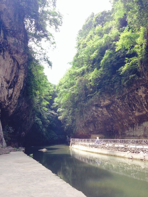 f:id:oshinko_mori:20150712001337j:plain f:id:oshinko_mori:20150712001337j:plain