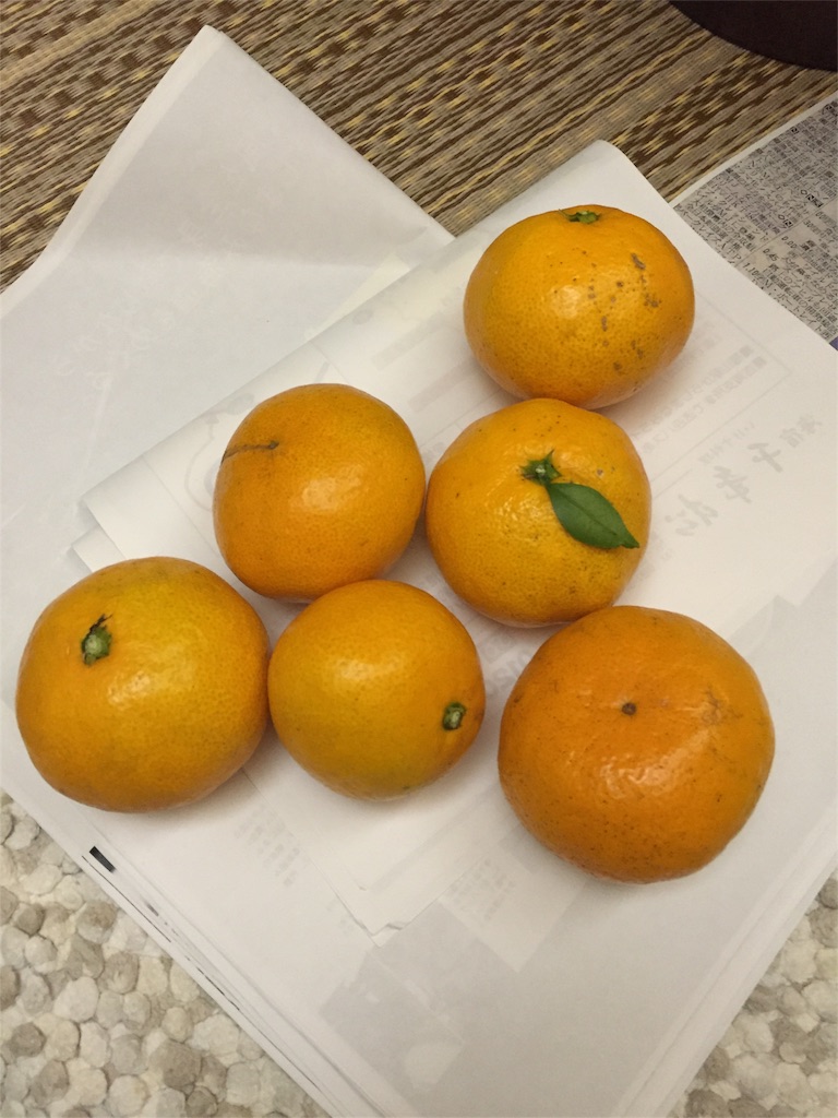 f:id:otoboke-imotarou:20151125000839j:image f:id:otoboke-imotarou:20151125000839j:image
