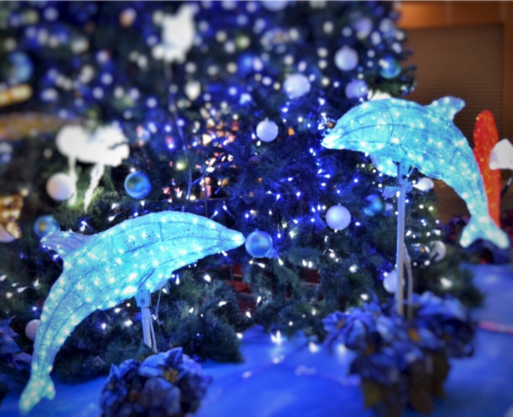 f:id:otohatotsuka:20151111223527j:image f:id:otohatotsuka:20151111223527j:image