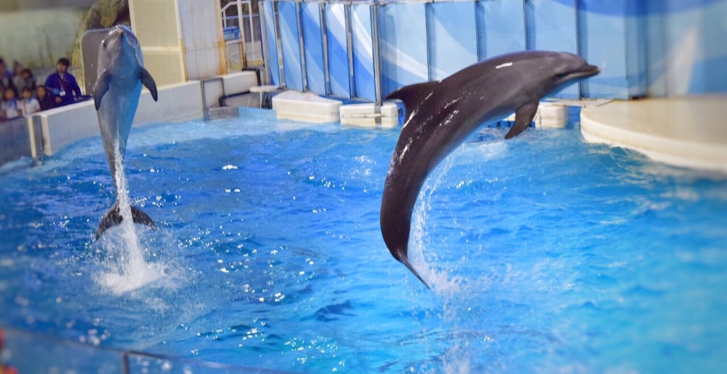 f:id:otohatotsuka:20151111232528j:image f:id:otohatotsuka:20151111232528j:image
