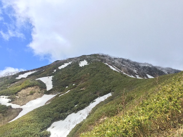 f:id:otonajoshi:20150521203459j:image f:id:otonajoshi:20150521203459j:image