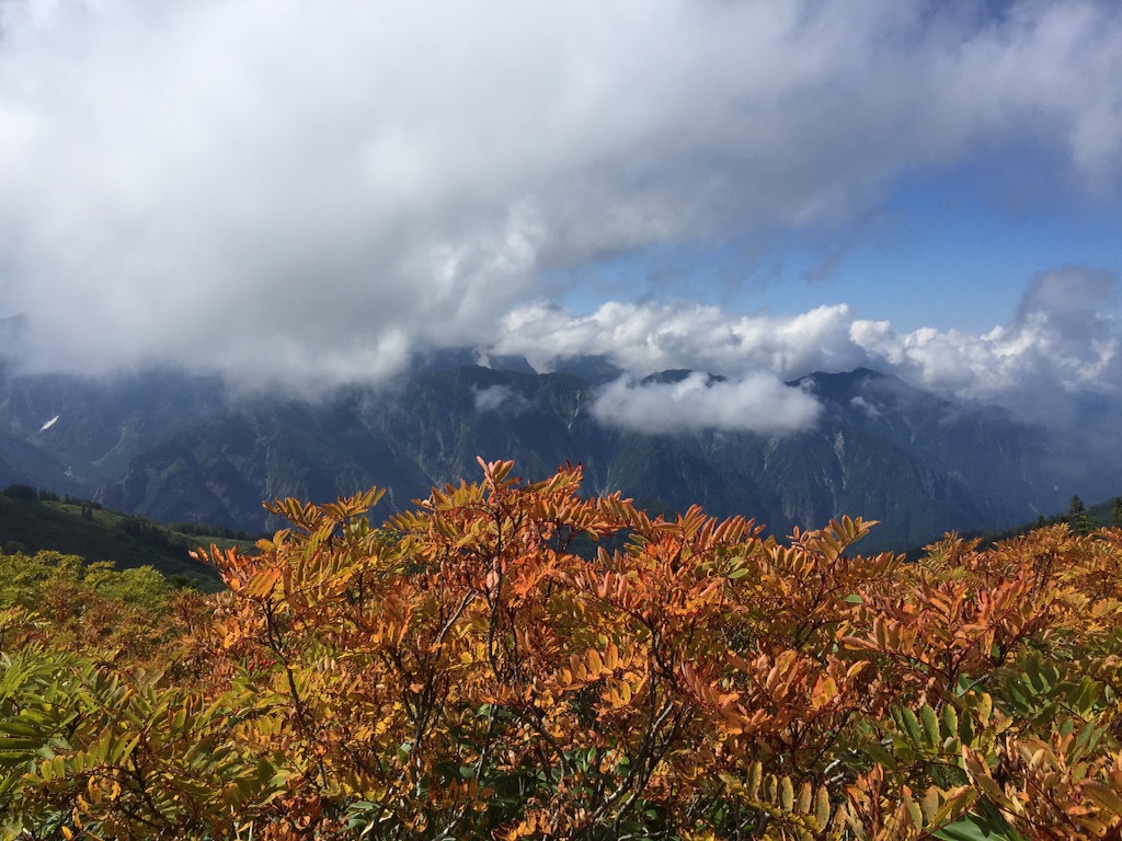 f:id:otonajoshi:20150924222156j:image f:id:otonajoshi:20150924222156j:image