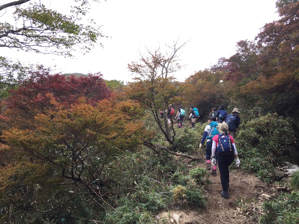 f:id:otonajoshi:20151010223618j:image f:id:otonajoshi:20151010223618j:image