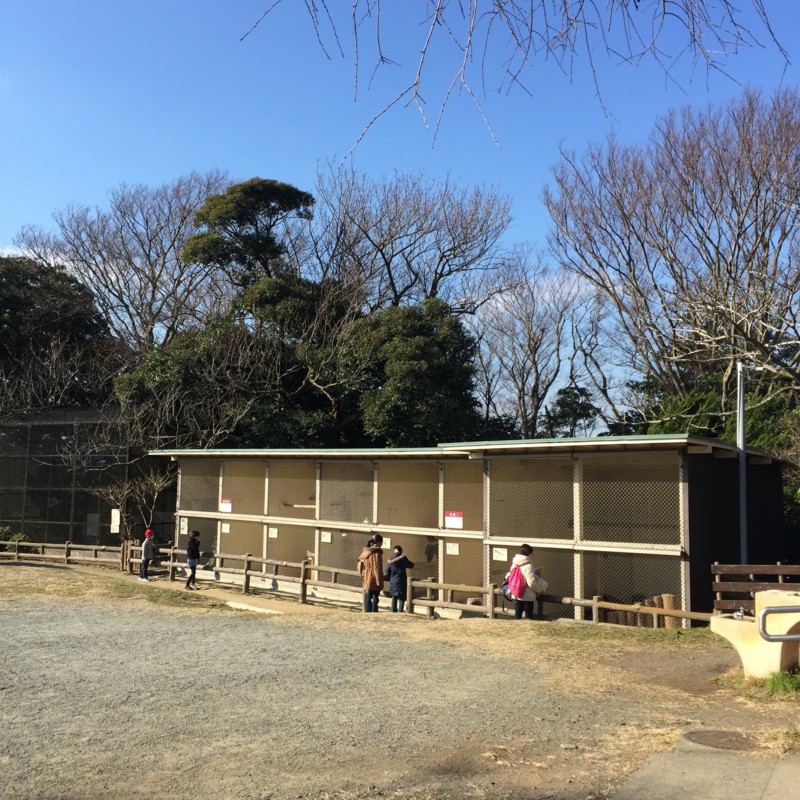 f:id:otoyasumi:20151231120047j:plain f:id:otoyasumi:20151231120047j:plain