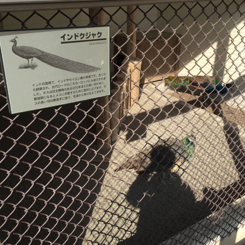 f:id:otoyasumi:20151231120127j:plain f:id:otoyasumi:20151231120127j:plain