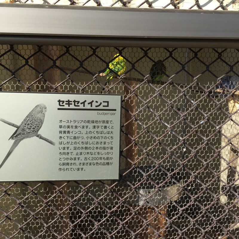 f:id:otoyasumi:20151231120610j:plain f:id:otoyasumi:20151231120610j:plain