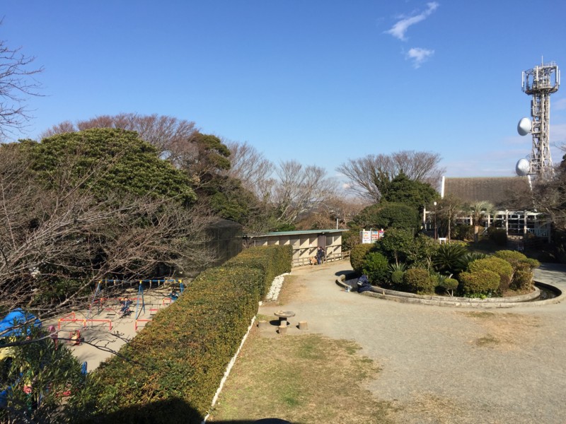 f:id:otoyasumi:20151231121201j:plain f:id:otoyasumi:20151231121201j:plain