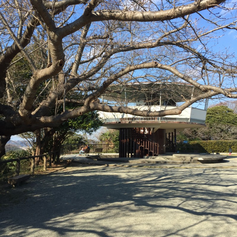 f:id:otoyasumi:20151231121642j:plain f:id:otoyasumi:20151231121642j:plain
