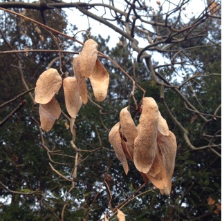 f:id:otsumamimonaka:20140201213857j:plain f:id:otsumamimonaka:20140201213857j:plain