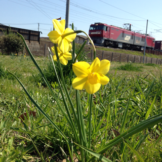 f:id:otsumamimonaka:20140415152904j:plain f:id:otsumamimonaka:20140415152904j:plain