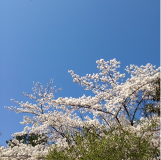 f:id:otsumamimonaka:20140415154543j:plain f:id:otsumamimonaka:20140415154543j:plain