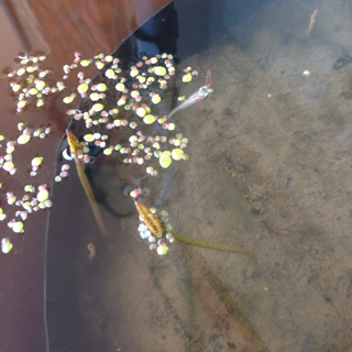 f:id:otsumamimonaka:20140417161924j:plain f:id:otsumamimonaka:20140417161924j:plain