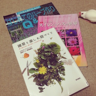 f:id:otsumamimonaka:20140615130555j:plain f:id:otsumamimonaka:20140615130555j:plain
