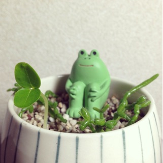 f:id:otsumamimonaka:20141024153555j:plain f:id:otsumamimonaka:20141024153555j:plain