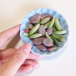 f:id:otsumamimonaka:20150313163947j:plain f:id:otsumamimonaka:20150313163947j:plain