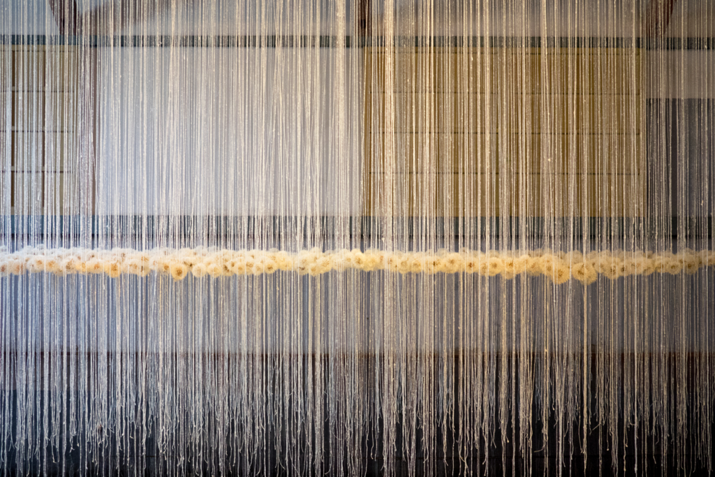 f:id:ottiee:20151012105743j:plain