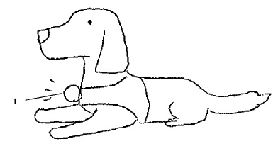 f:id:oukajinsugawa:20160406163333j:plain f:id:oukajinsugawa:20160406163333j:plain