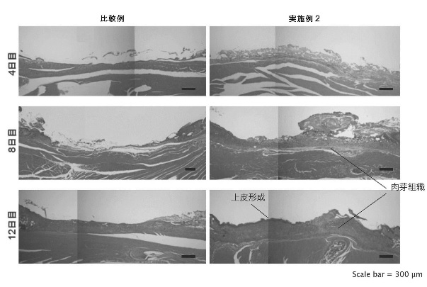 f:id:oukajinsugawa:20160413142408j:plain f:id:oukajinsugawa:20160413142408j:plain