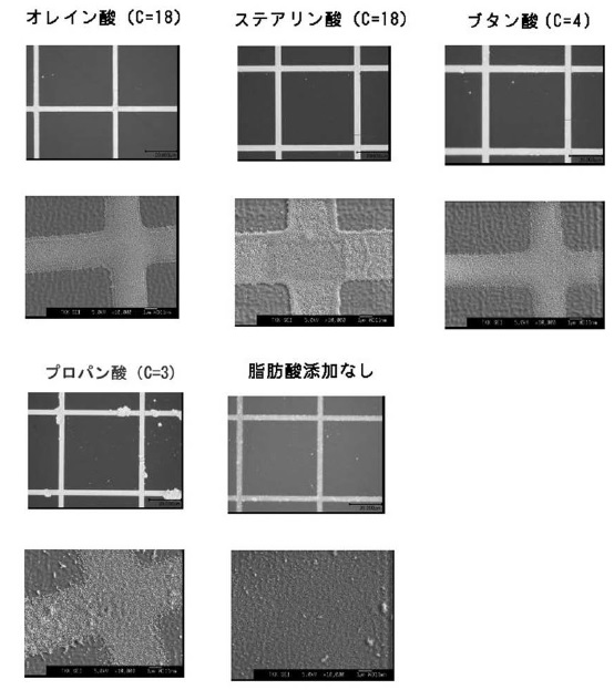 f:id:oukajinsugawa:20160511155127j:plain f:id:oukajinsugawa:20160511155127j:plain