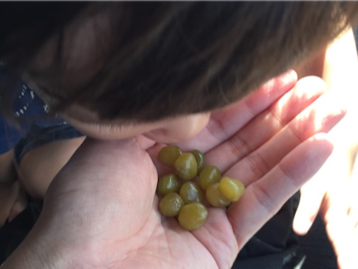 f:id:outdoor-kanazawa:20150922140213j:image f:id:outdoor-kanazawa:20150922140213j:image