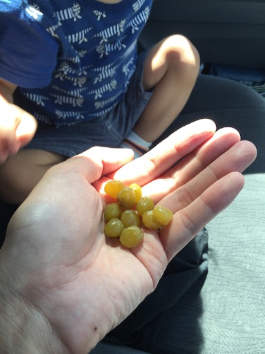f:id:outdoor-kanazawa:20150922140233j:image f:id:outdoor-kanazawa:20150922140233j:image