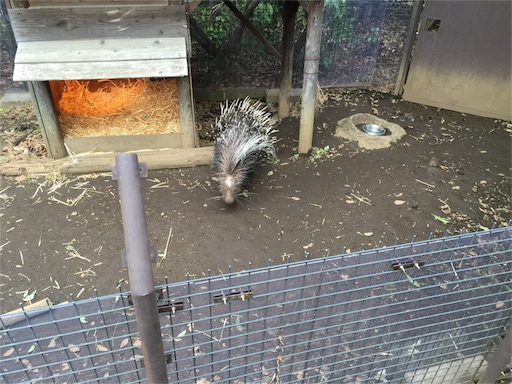 f:id:outdoor-kanazawa:20160225184208j:image f:id:outdoor-kanazawa:20160225184208j:image