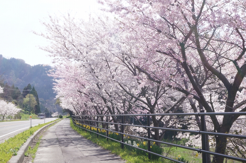 f:id:outdoor-kanazawa:20160430022048j:plain