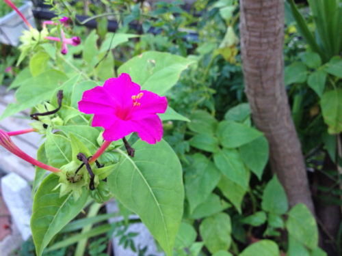f:id:oxdb:20111016232338j:image f:id:oxdb:20111016232338j:image