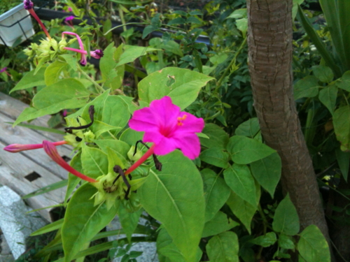 f:id:oxdb:20111016232339j:image f:id:oxdb:20111016232339j:image