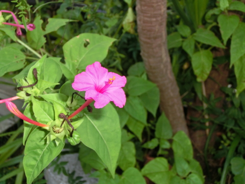 f:id:oxdb:20111016232340j:image f:id:oxdb:20111016232340j:image