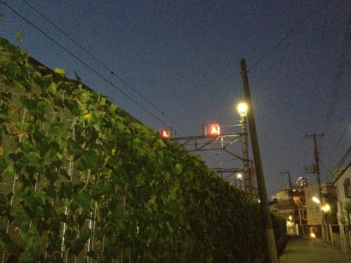 f:id:oxdb:20111016232341j:image f:id:oxdb:20111016232341j:image