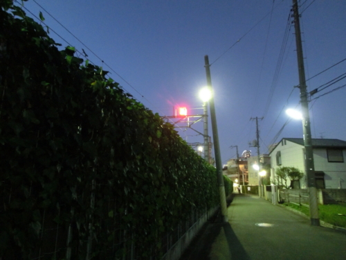 f:id:oxdb:20111016232343j:image f:id:oxdb:20111016232343j:image
