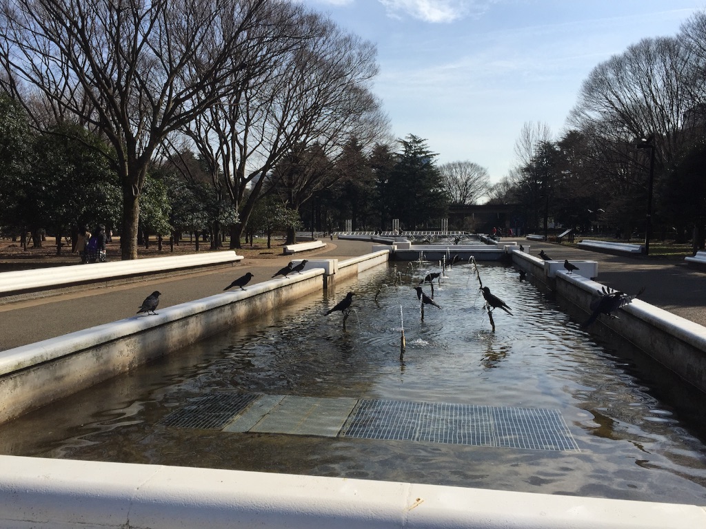 f:id:oyaco_blog:20160205130831j:image f:id:oyaco_blog:20160205130831j:image