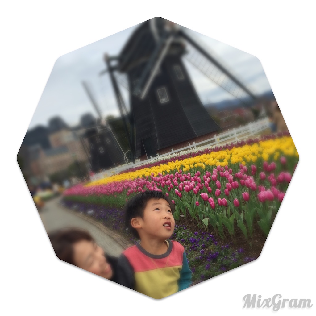 f:id:oyaco_blog:20160216112620j:image f:id:oyaco_blog:20160216112620j:image