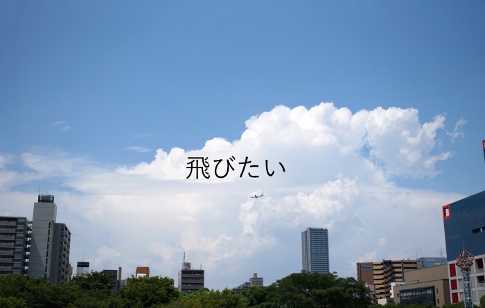f:id:oyaco_blog:20160222222323j:plain f:id:oyaco_blog:20160222222323j:plain