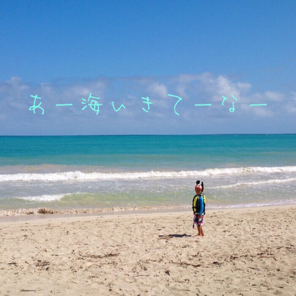 f:id:oyaco_blog:20160315022215j:image f:id:oyaco_blog:20160315022215j:image