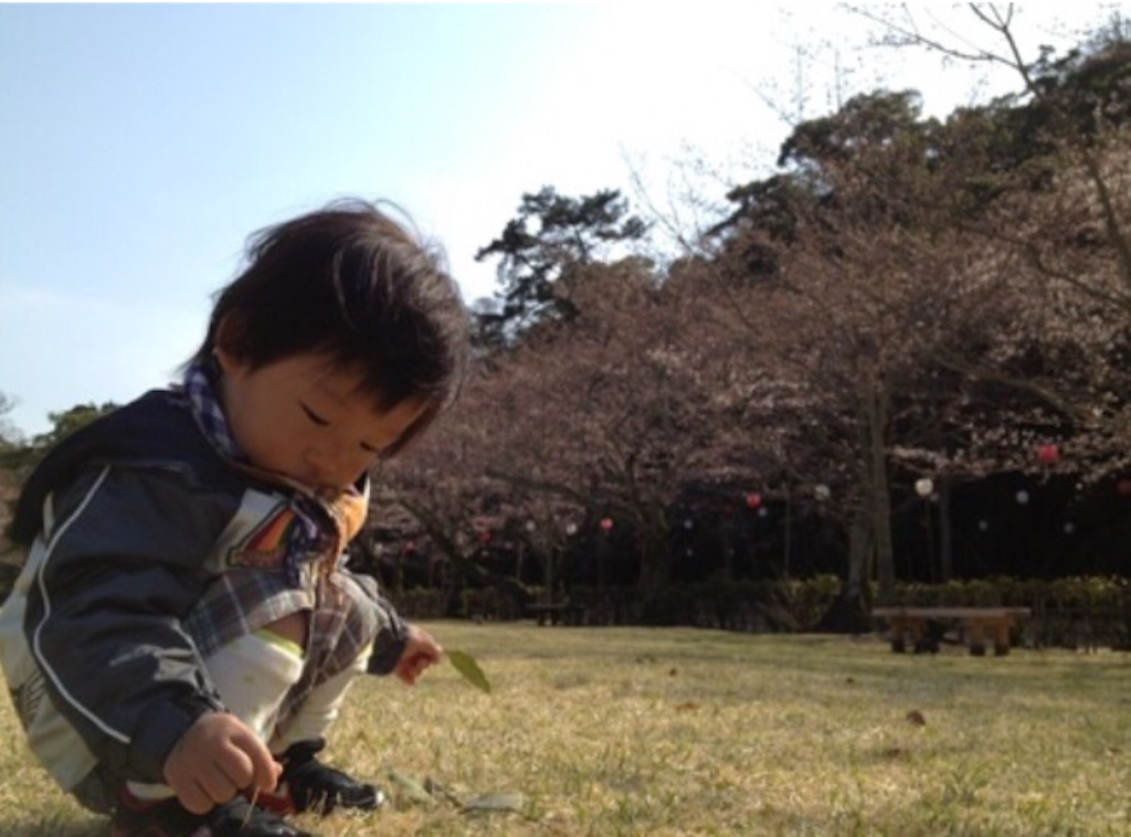 f:id:oyaco_blog:20160324125010j:image f:id:oyaco_blog:20160324125010j:image