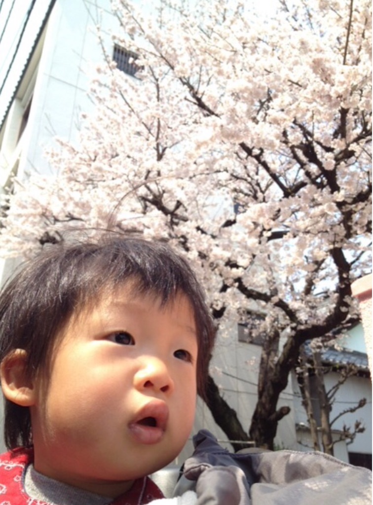 f:id:oyaco_blog:20160325123432j:image f:id:oyaco_blog:20160325123432j:image