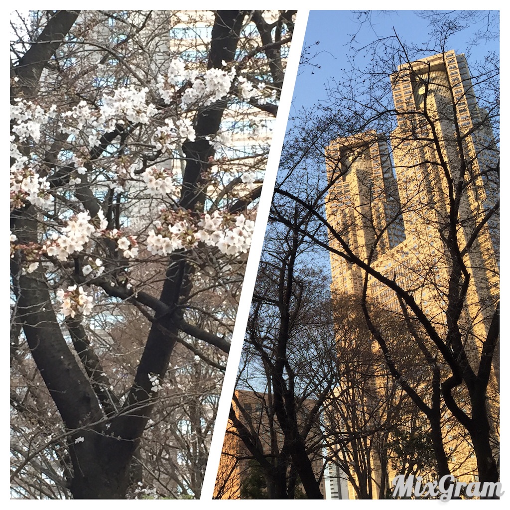 f:id:oyaco_blog:20160327090553j:image f:id:oyaco_blog:20160327090553j:image