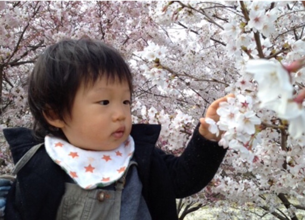 f:id:oyaco_blog:20160328124013j:image f:id:oyaco_blog:20160328124013j:image