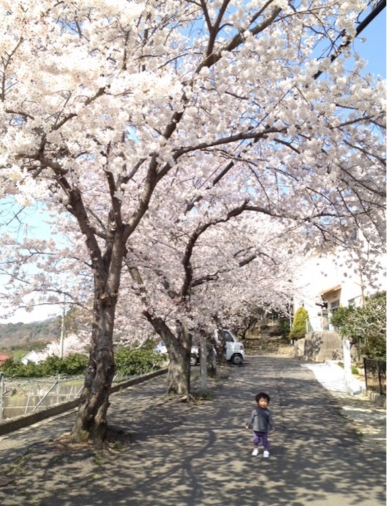 f:id:oyaco_blog:20160402074921j:image f:id:oyaco_blog:20160402074921j:image