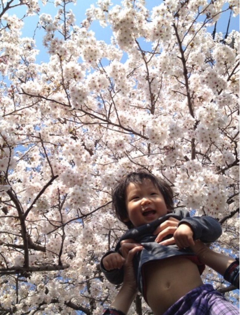 f:id:oyaco_blog:20160402074939j:image f:id:oyaco_blog:20160402074939j:image