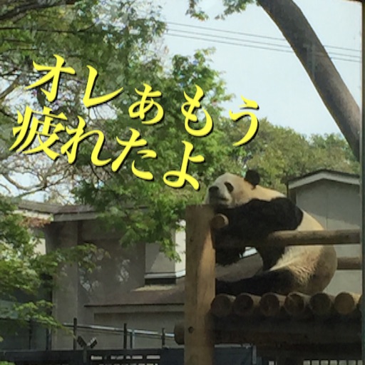 f:id:oyaco_blog:20160409160924j:image f:id:oyaco_blog:20160409160924j:image