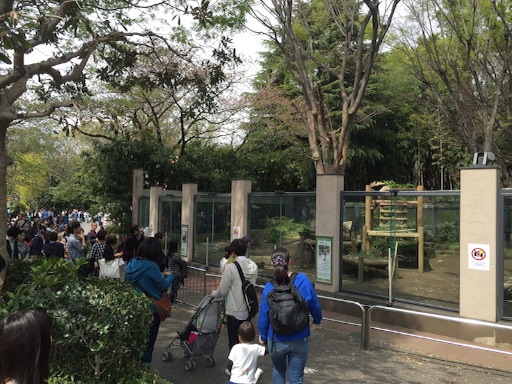 f:id:oyaco_blog:20160410084022j:image f:id:oyaco_blog:20160410084022j:image