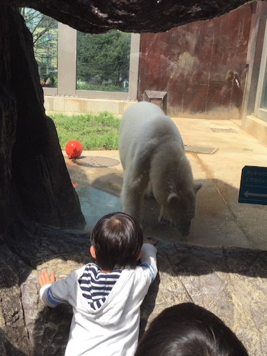 f:id:oyaco_blog:20160410084853j:image f:id:oyaco_blog:20160410084853j:image