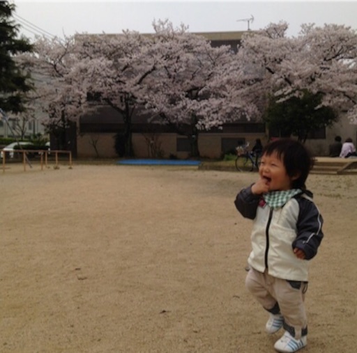 f:id:oyaco_blog:20160411152001j:image f:id:oyaco_blog:20160411152001j:image