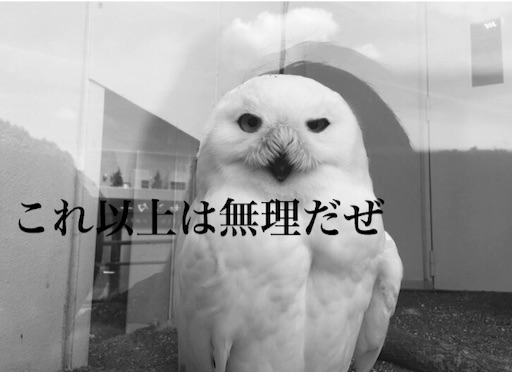 f:id:oyaco_blog:20160528183801j:image f:id:oyaco_blog:20160528183801j:image