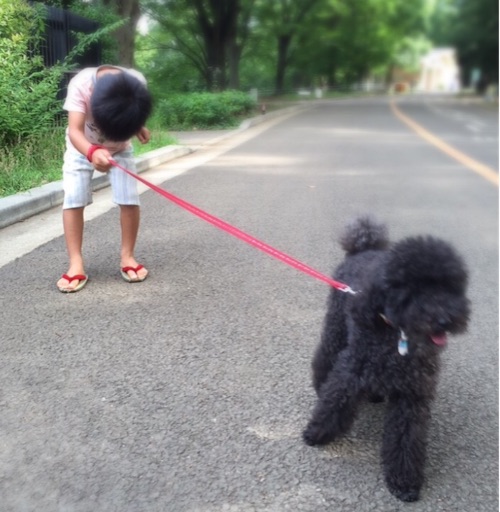 f:id:oyaco_blog:20160626092908j:image f:id:oyaco_blog:20160626092908j:image