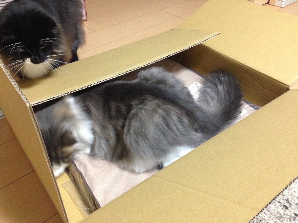f:id:oyakitoneko:20150930221757j:image f:id:oyakitoneko:20150930221757j:image